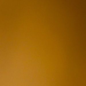 Meet your Posher, Ayan